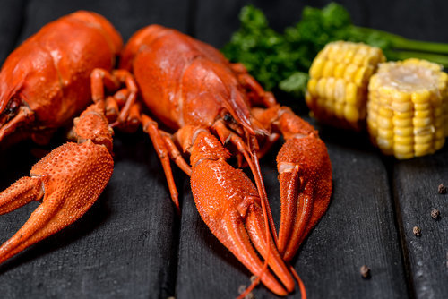 Доставка раков в соч Доставка раков в сочи