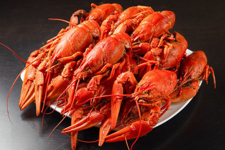 раки 23 сочи раки вареные