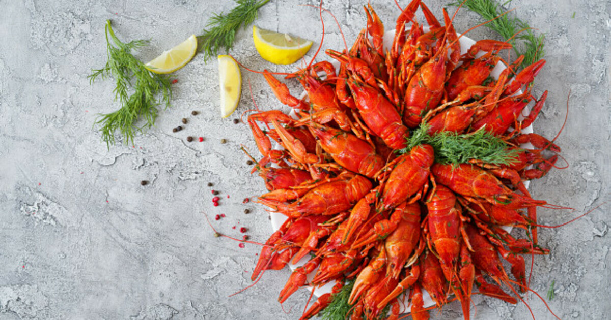 раковарня №1 раки 23