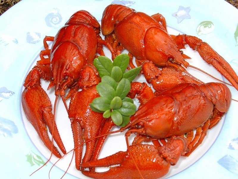 Раки отборные
